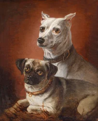 Dog Portrait